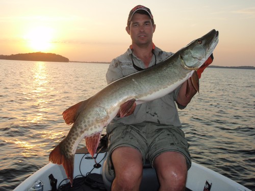 Muskie Fishing Photo